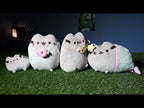 product-video-E1061507-1