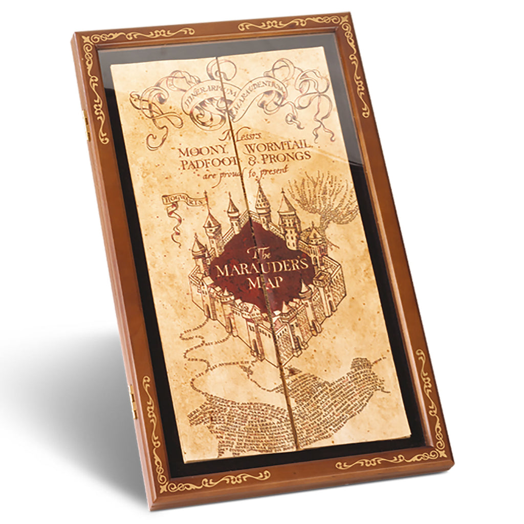 Product image Display for the Marauder's Map