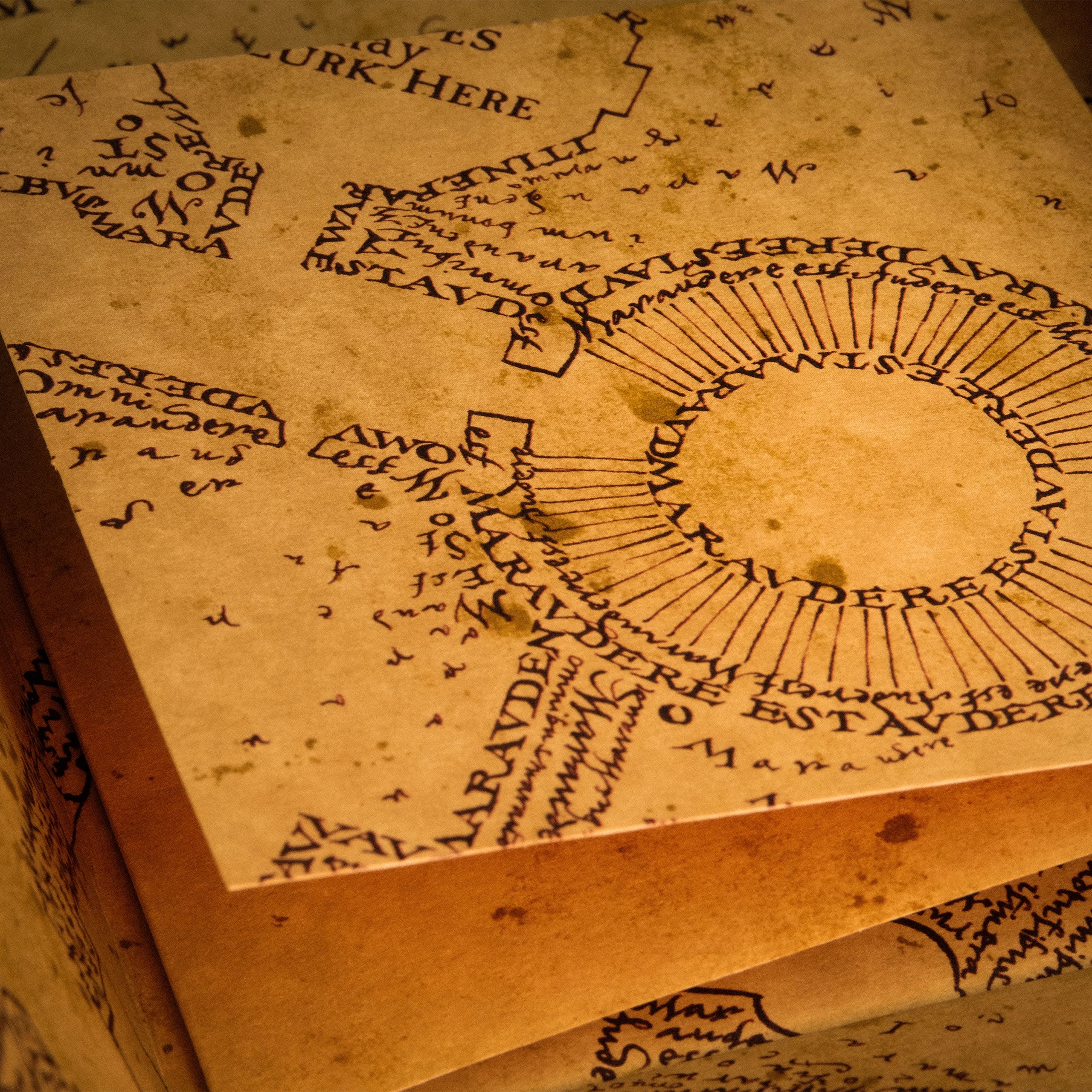 Product image The Marauder's Map including display