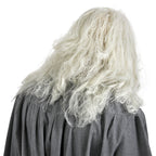 Product image Gandalf Wig with Beard