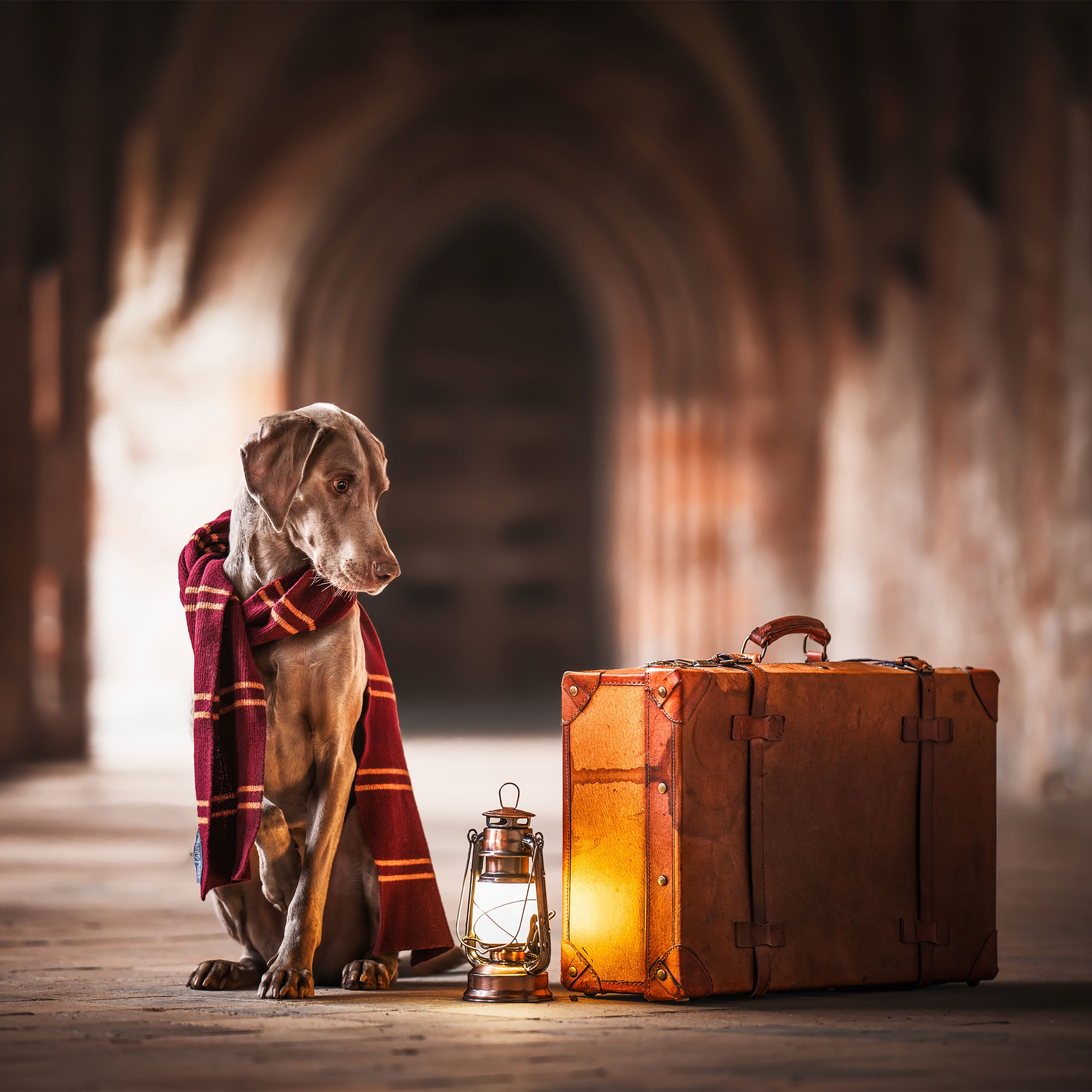 Product image Harry Potter - Original Gryffindor Wool Scarf