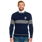 Product image Harry Potter - Quidditch Sweater Ravenclaw