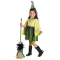 Product image Green Witch - Children's Costume