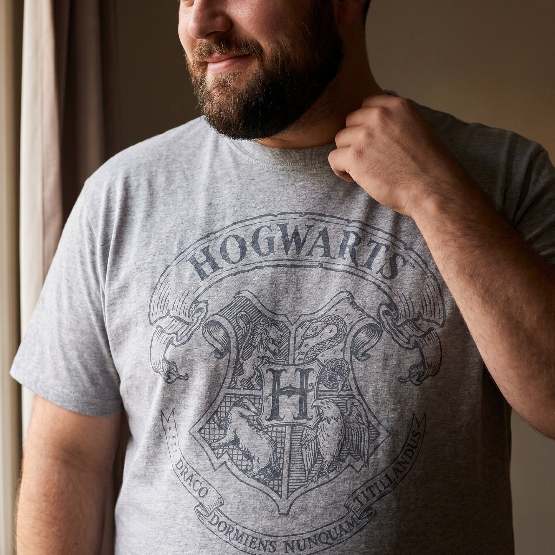 Product image Harry Potter - Logo T-Shirt Grey