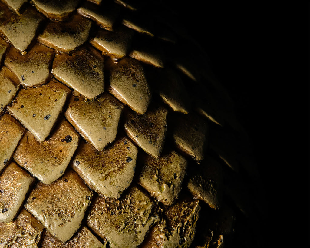 Product image Game of Thrones - Viserion Dragon Egg