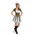 Product image Robin Hood Dress - Women's Costume
