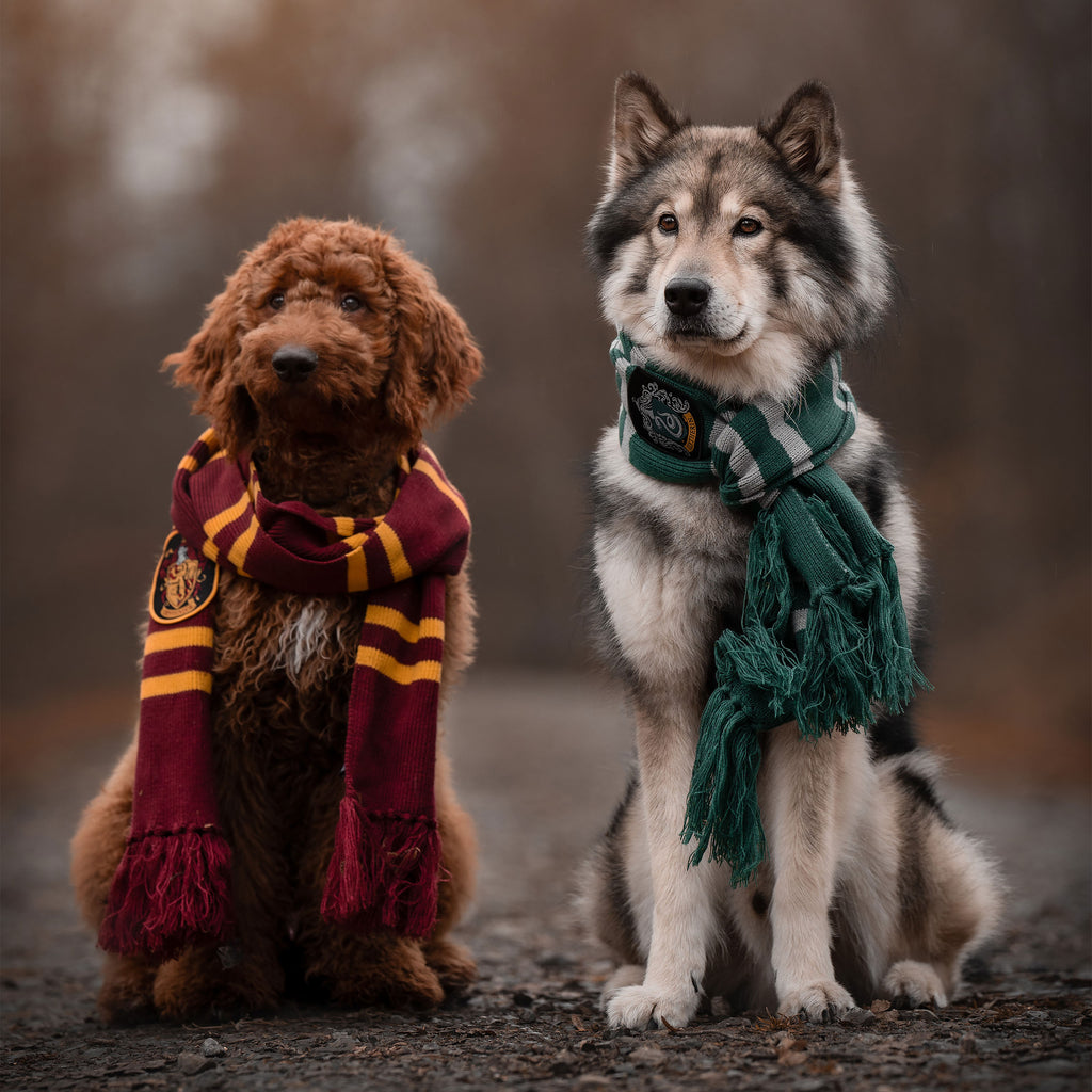 Product image Harry Potter - Gryffindor Knit Scarf Yellow-Red
