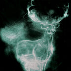 Product image Harry Potter - Patronus T-Shirt black