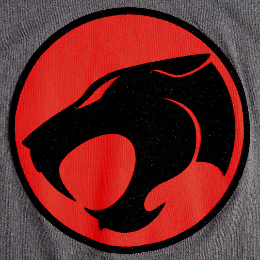 Product image ThunderCats - Logo T-Shirt grey