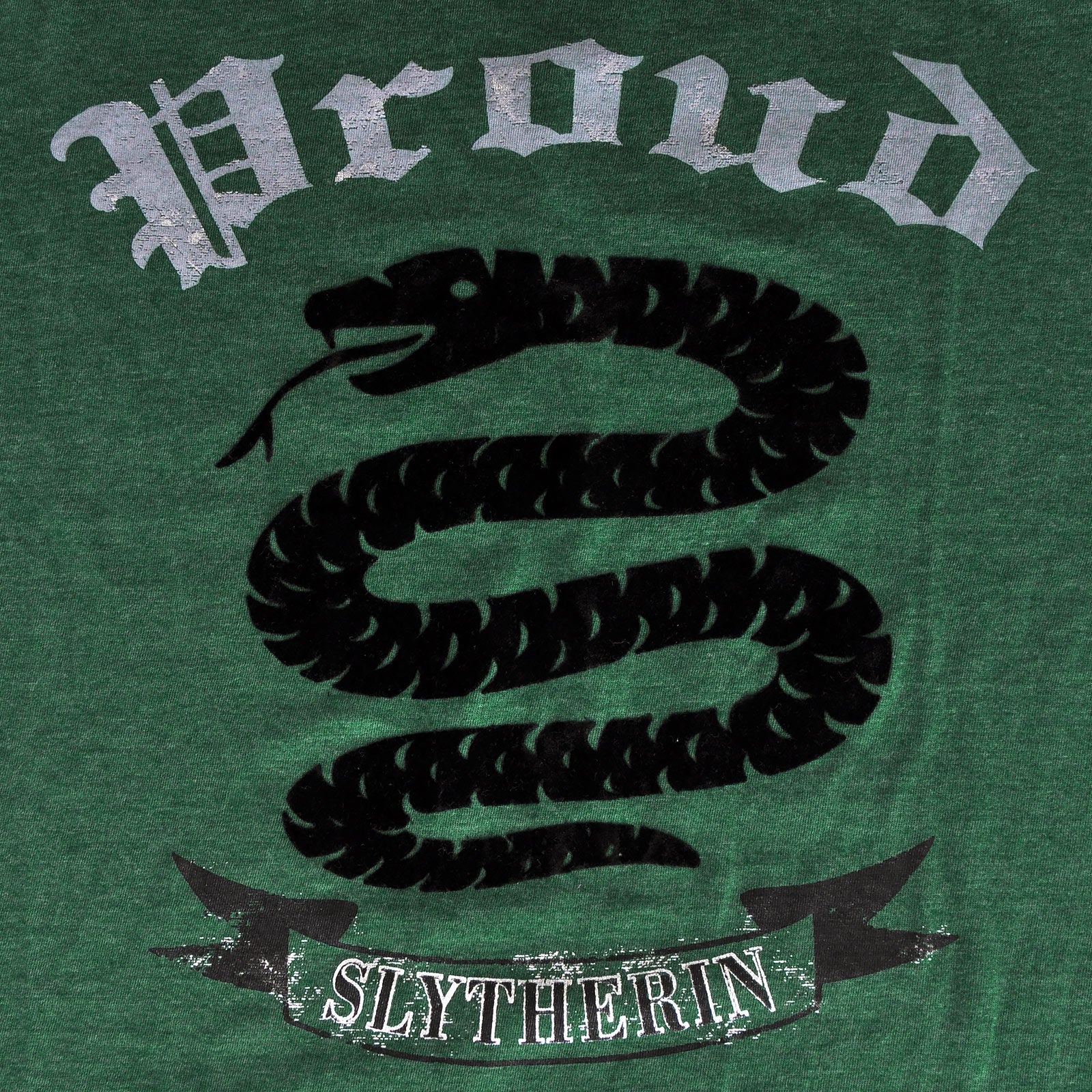 Product image Harry Potter - Proud Slytherin T-Shirt green