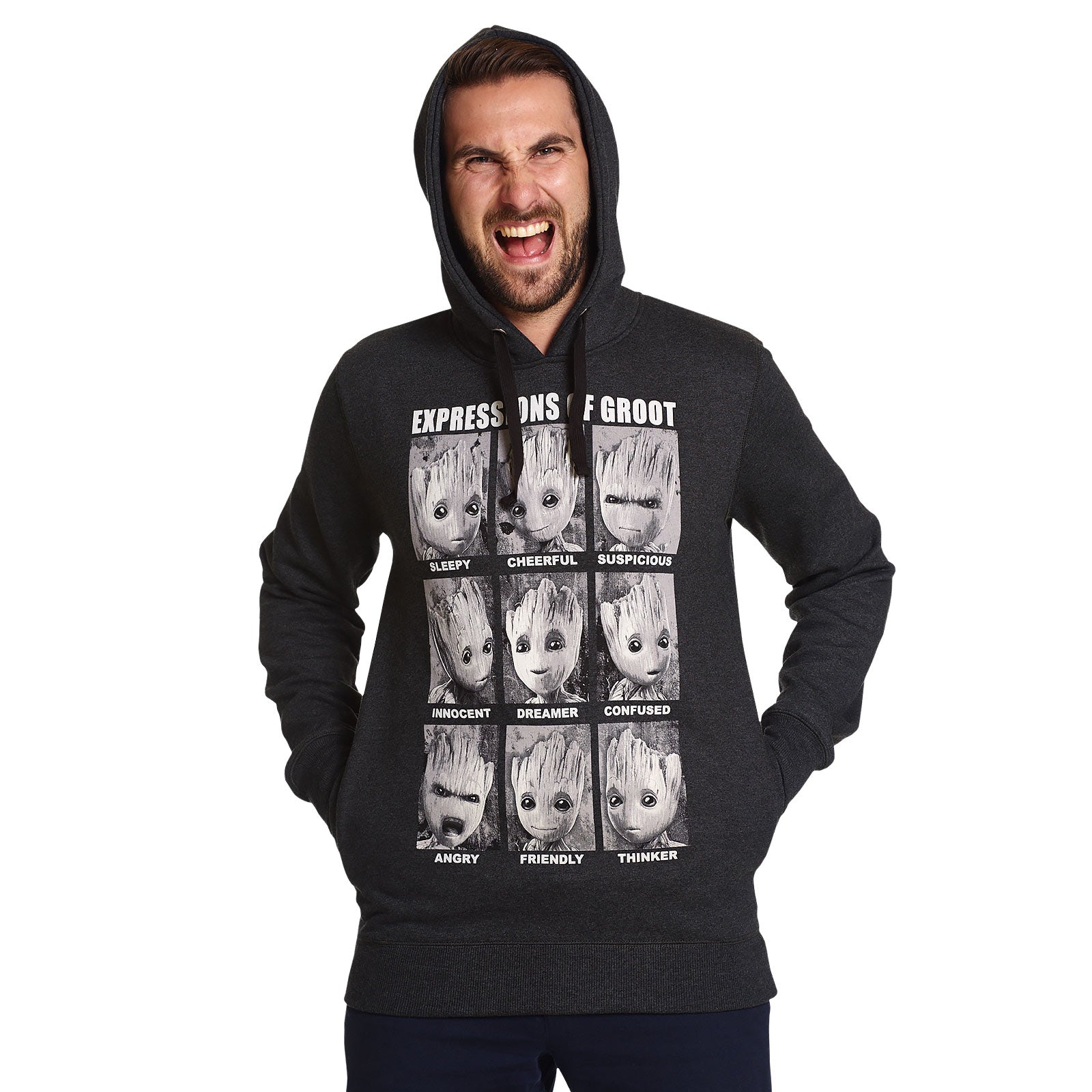 Product image Guardians of the Galaxy - Groot Expressions Hoodie Grey