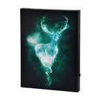 Product image Harry Potter - Patronus Wall Picture with Light