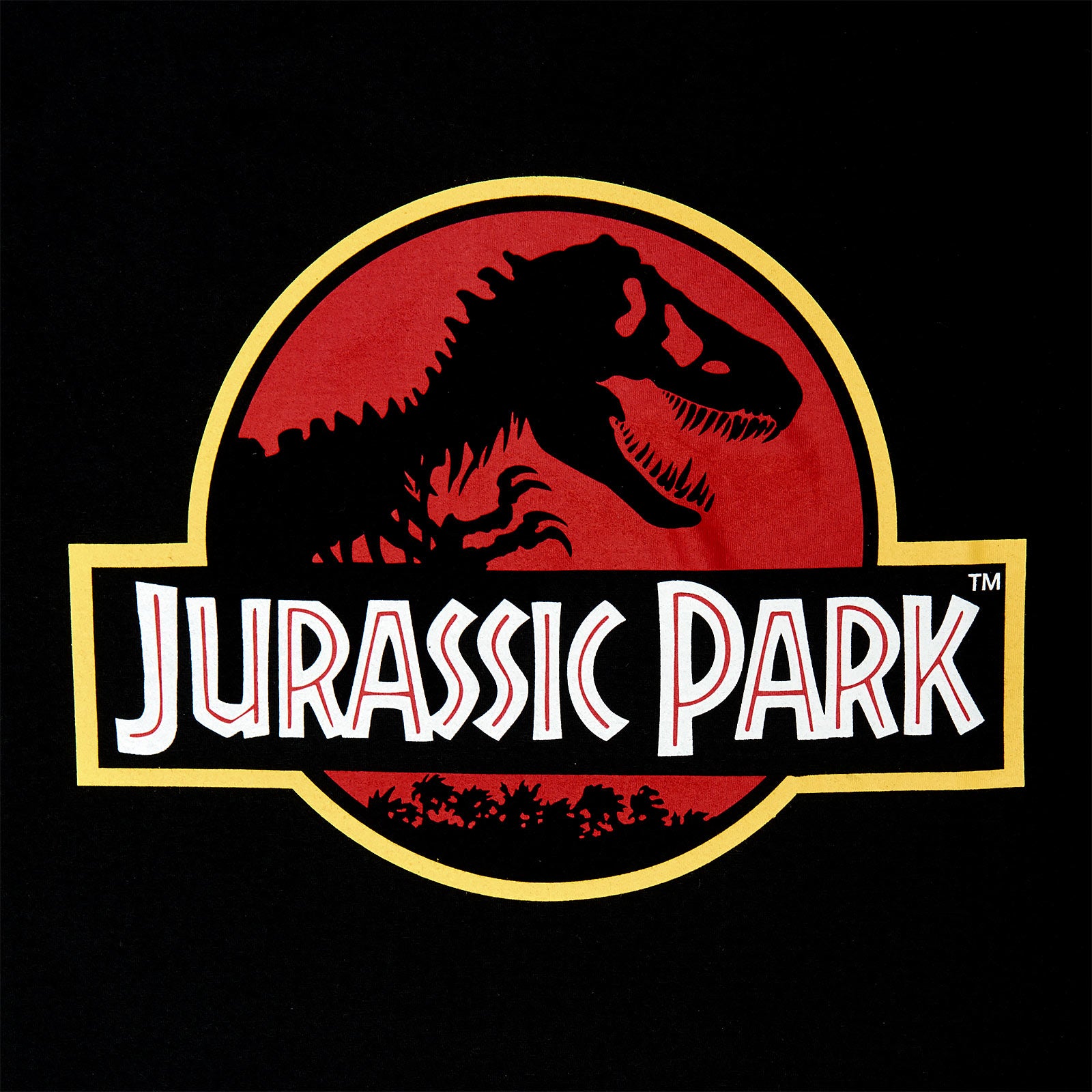 Product image Jurassic Park - Logo T-Shirt black