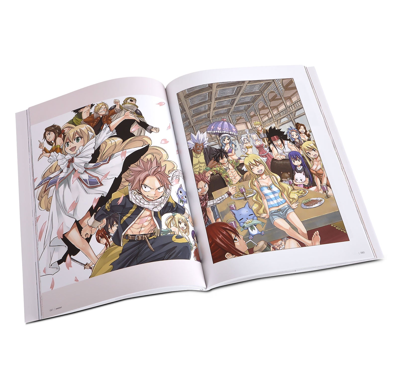 Product image Fairy Tail - Harvest Artwork