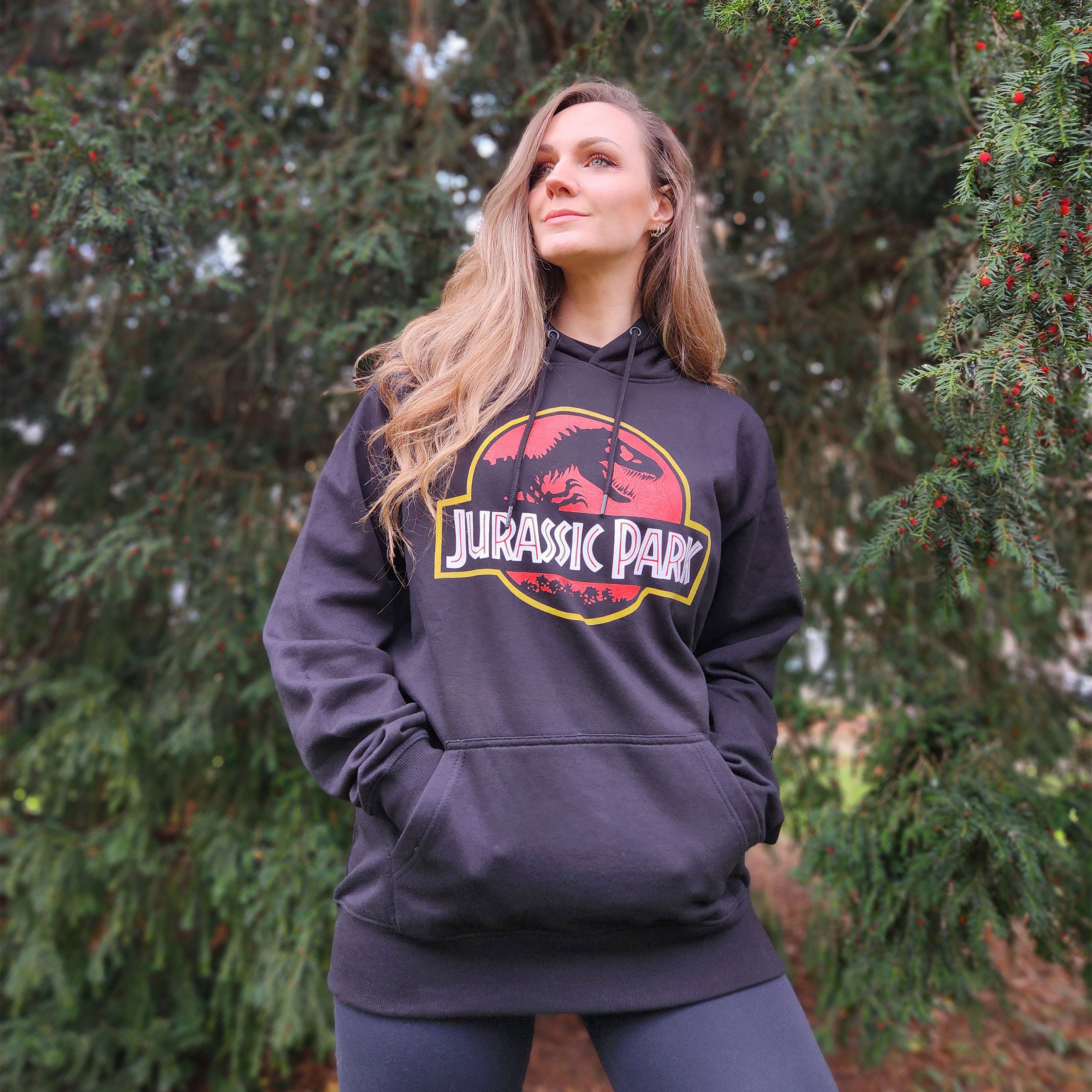 Product image Jurassic Park - Movie Logo Hoodie Black