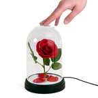 Product image Beauty and the Beast - Enchanted Rose Table Lamp