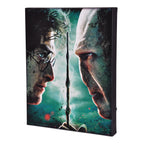 Product image Harry Potter - Harry vs. Voldemort Wall Picture with Light