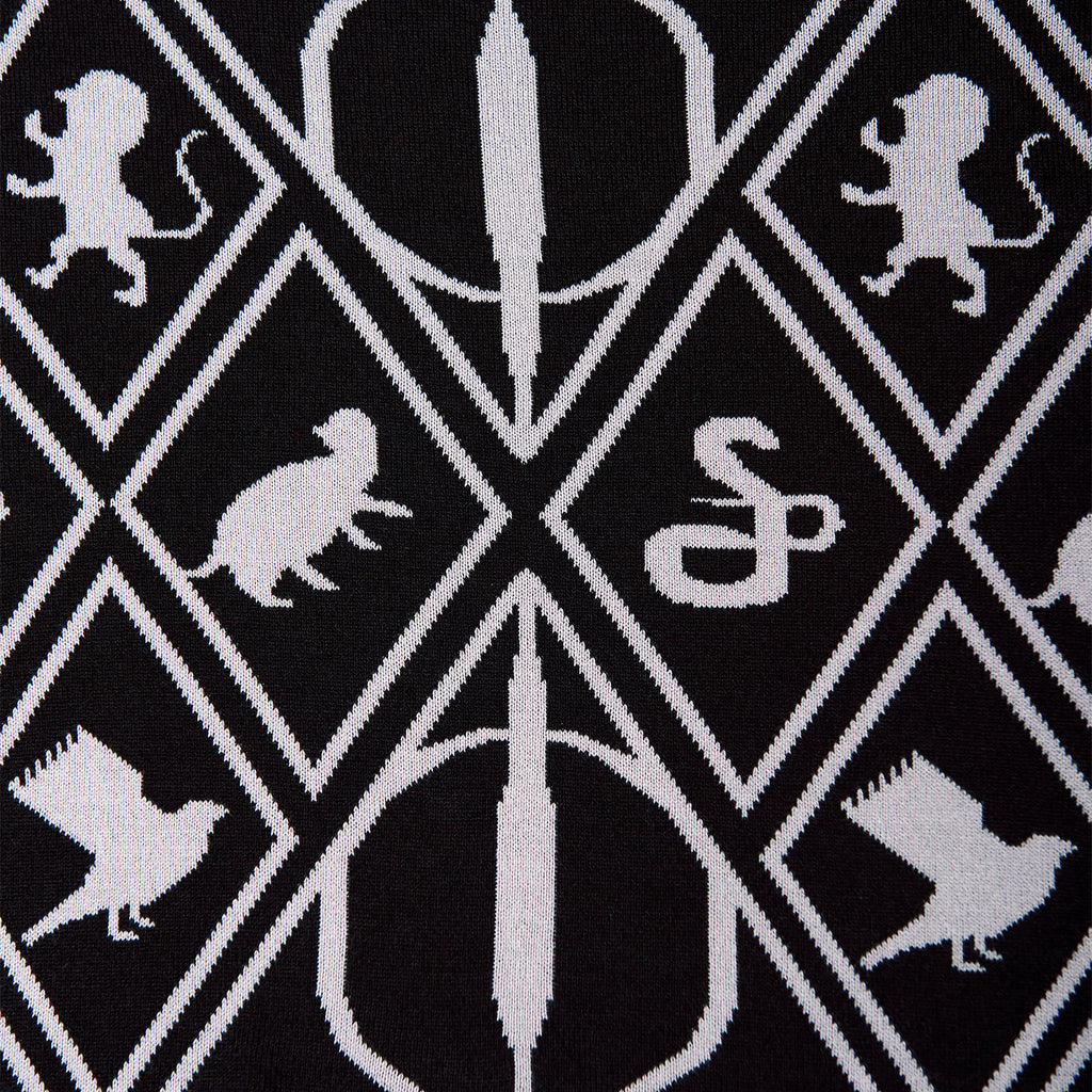 Product image Harry Potter - Magic Symbols Poncho