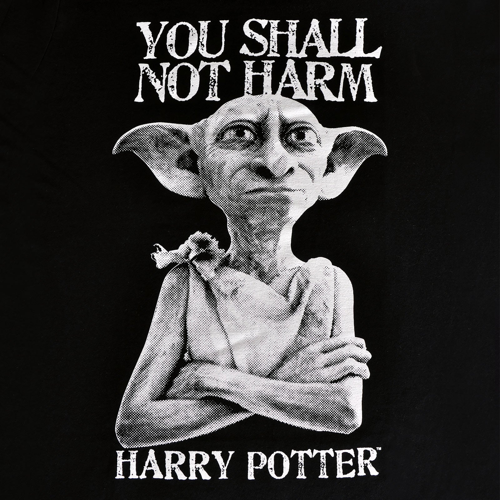 Product image Harry Potter - Dobby You Shall Not Harm T-Shirt black