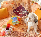 Product image Harry Potter - Marauder's Map Fluffy Blanket with Teddy Fur