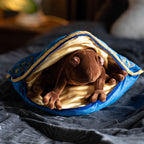 Product image Harry Potter - Chocolate Frog Pillow with Plush Figure