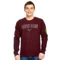 Product image Harry Potter - Team Gryffindor Sweater red