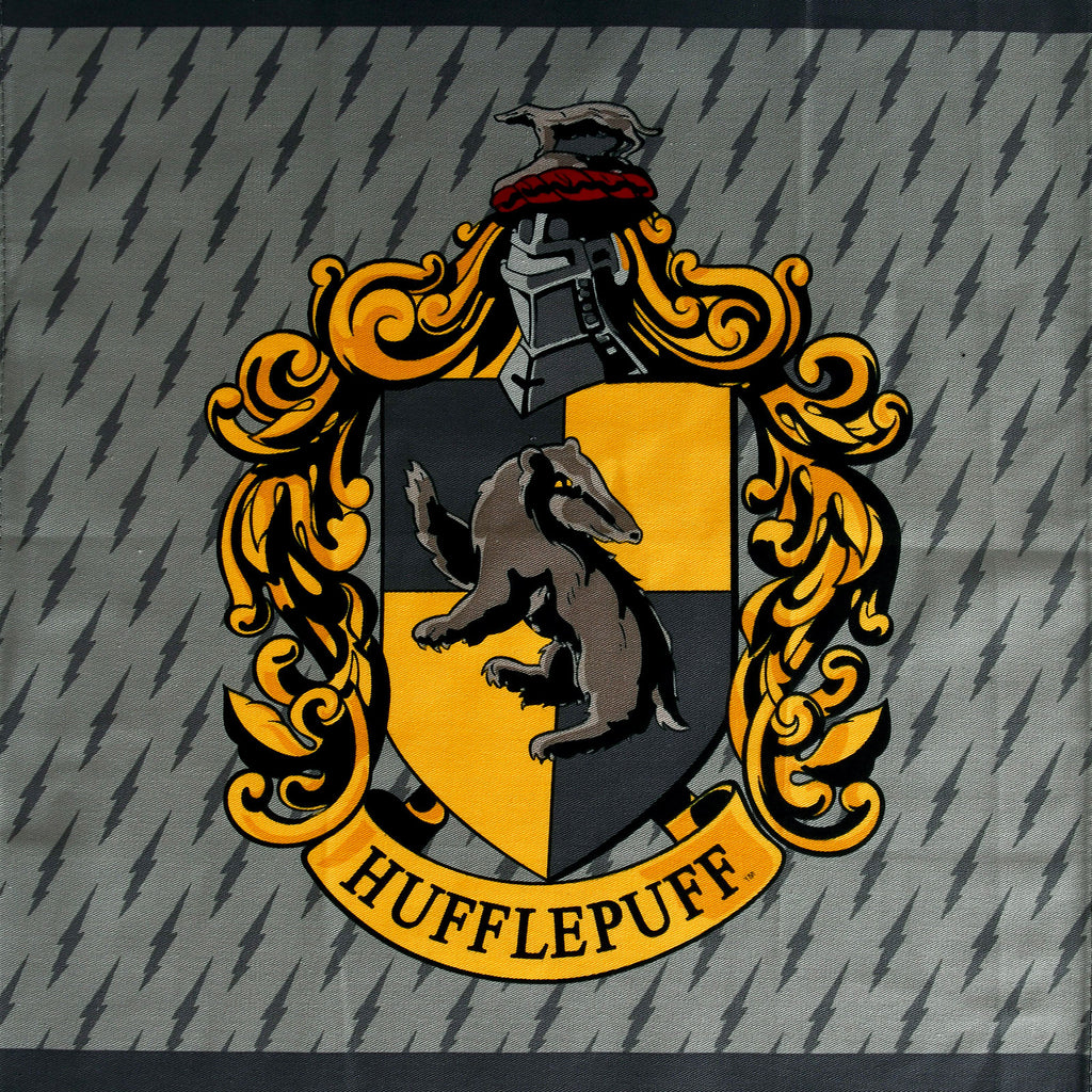 Product image Harry Potter - Hufflepuff & Hogwarts Dish Towels Set