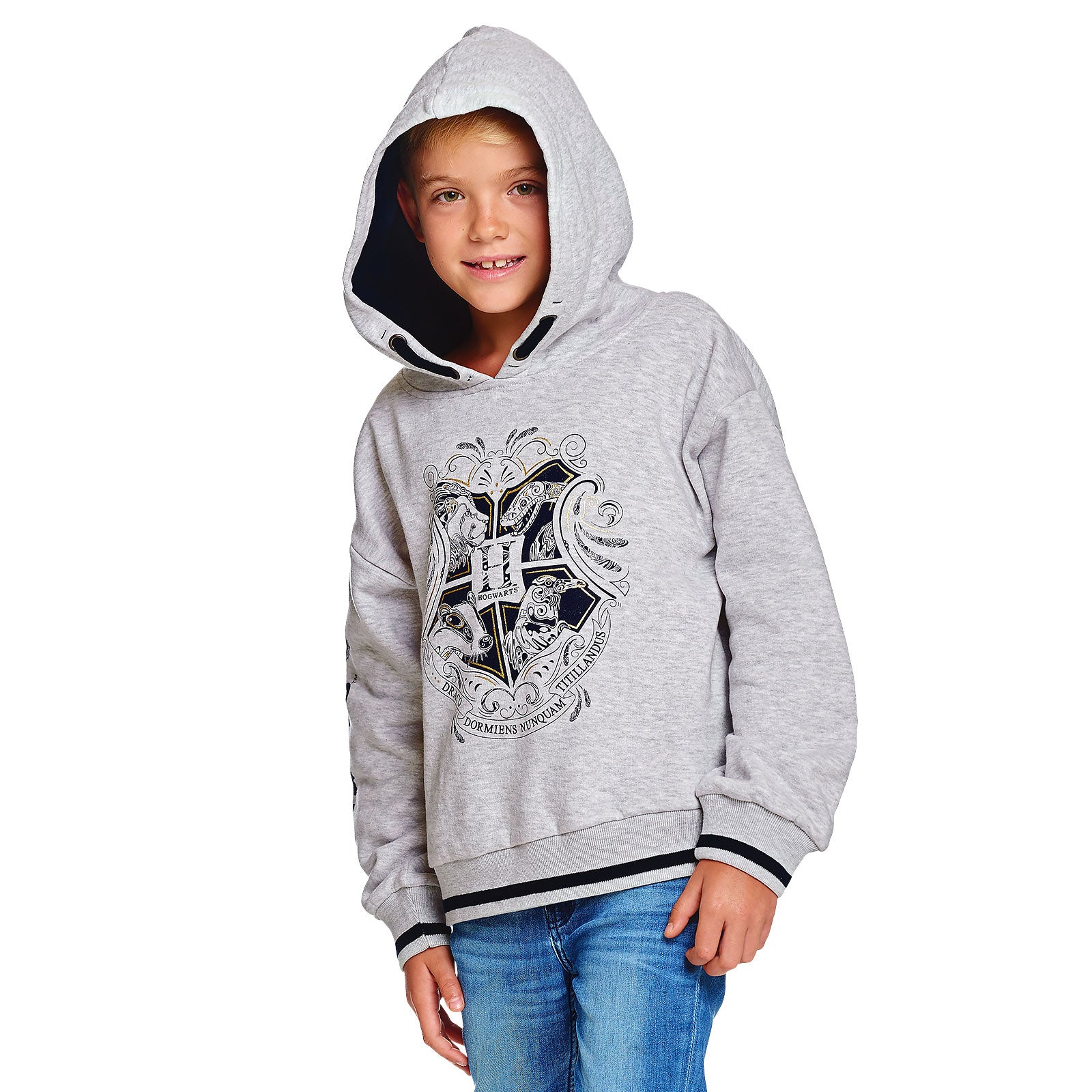 Product image Harry Potter - Hogwarts Kids Hoodie Grey