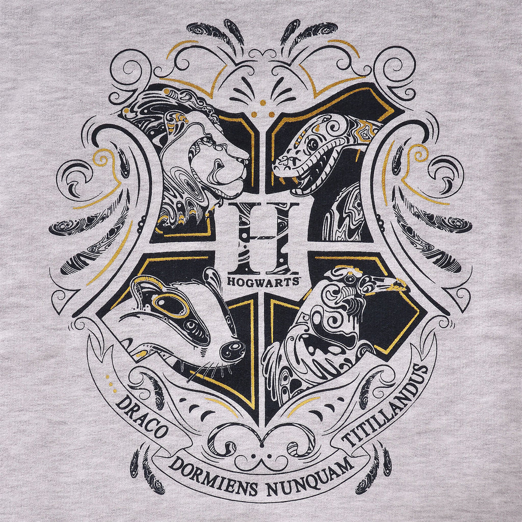 Product image Harry Potter - Hogwarts Kids Hoodie Grey