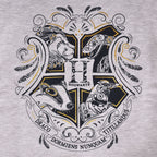 Product image Harry Potter - Hogwarts Kids Hoodie Grey