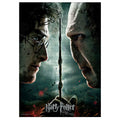 Product image Harry Potter - Harry vs. Voldemort Puzzle