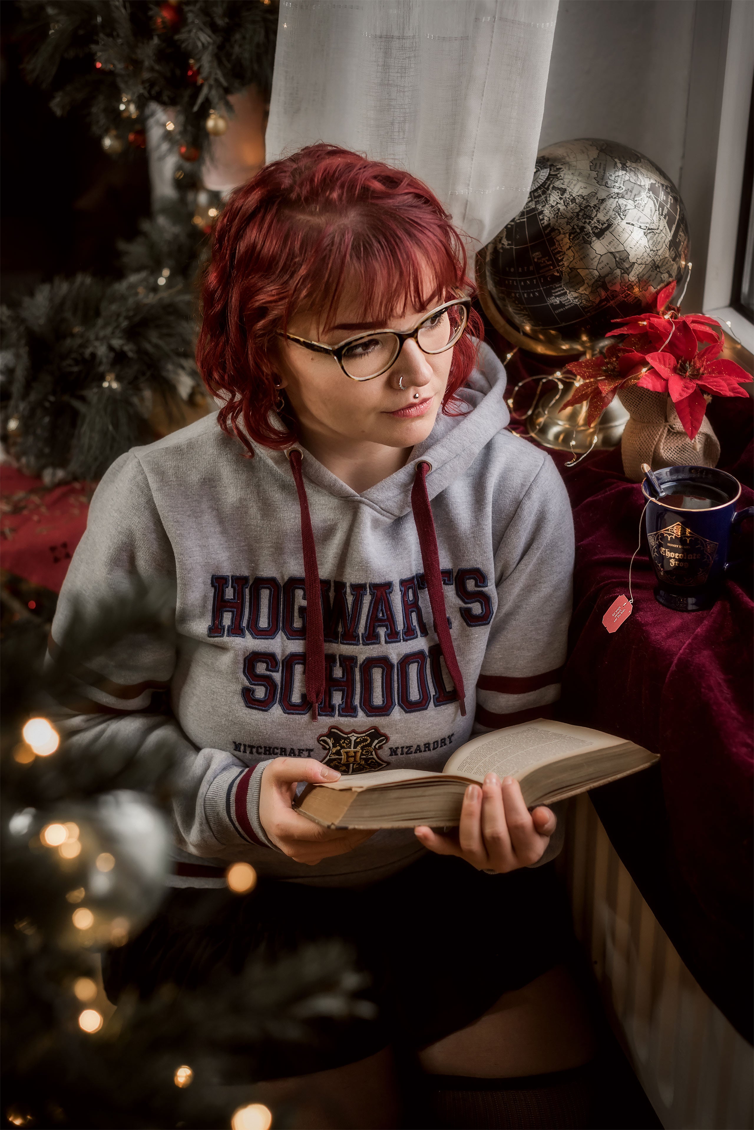 Product image Harry Potter - Hogwarts School Hoodie grey