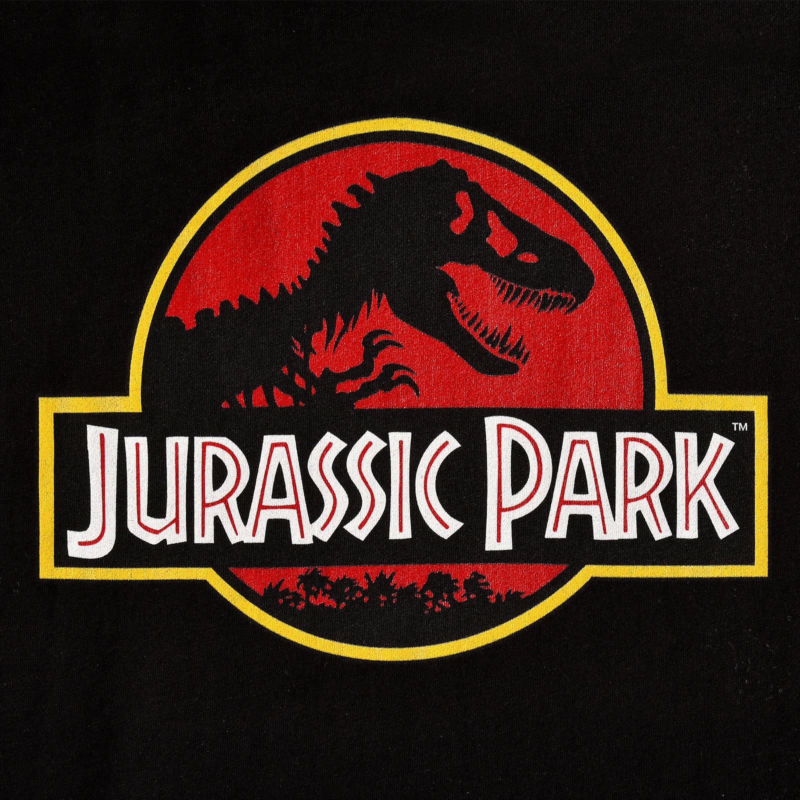 Product image Jurassic Park - Logo T-Shirt Women Black
