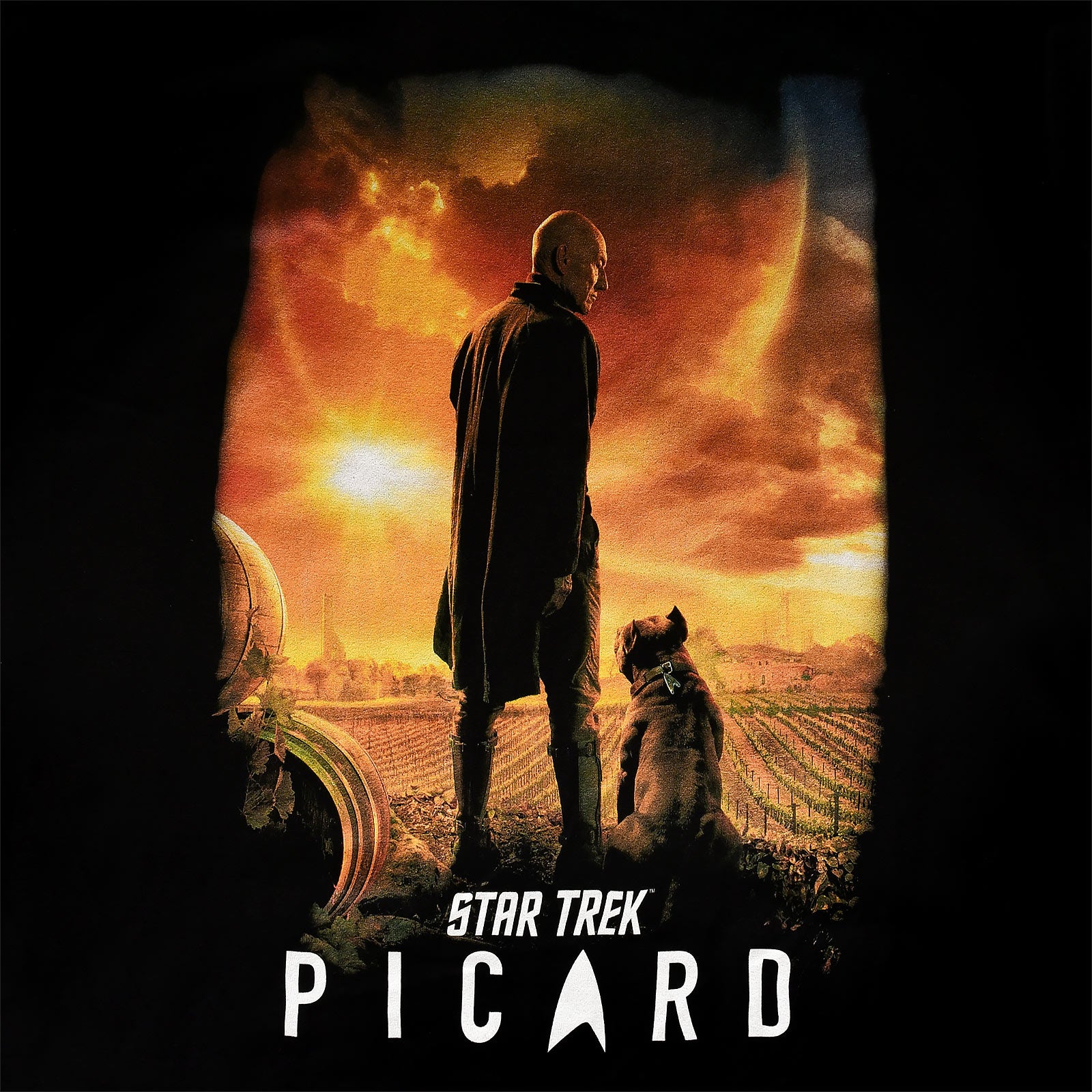 Product image Star Trek - Picard Poster T-Shirt black