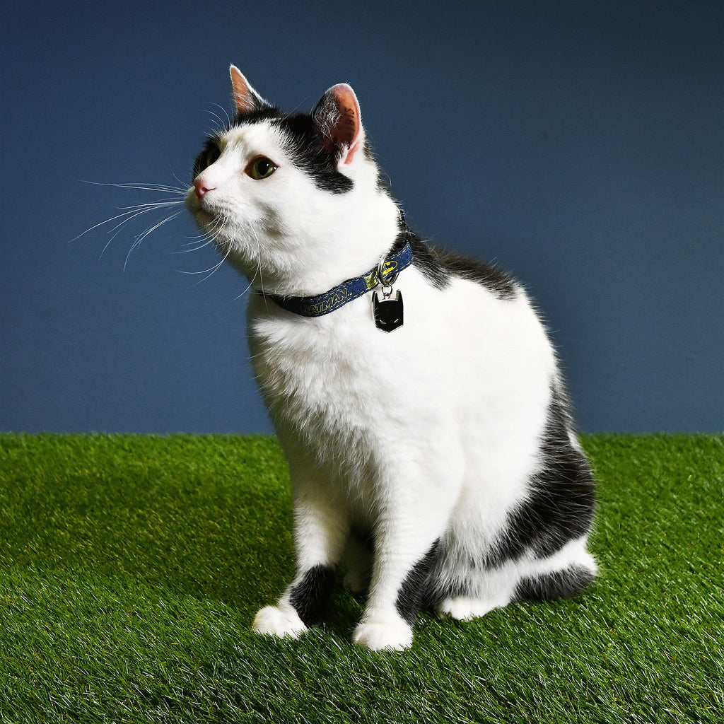 Product image Batman Click-Collar for Dogs Blue