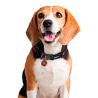Product image Avengers - Comic Heroes Click-Collar for Dogs