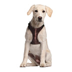 Product image Star Wars - Chewbacca Dog Harness Brown