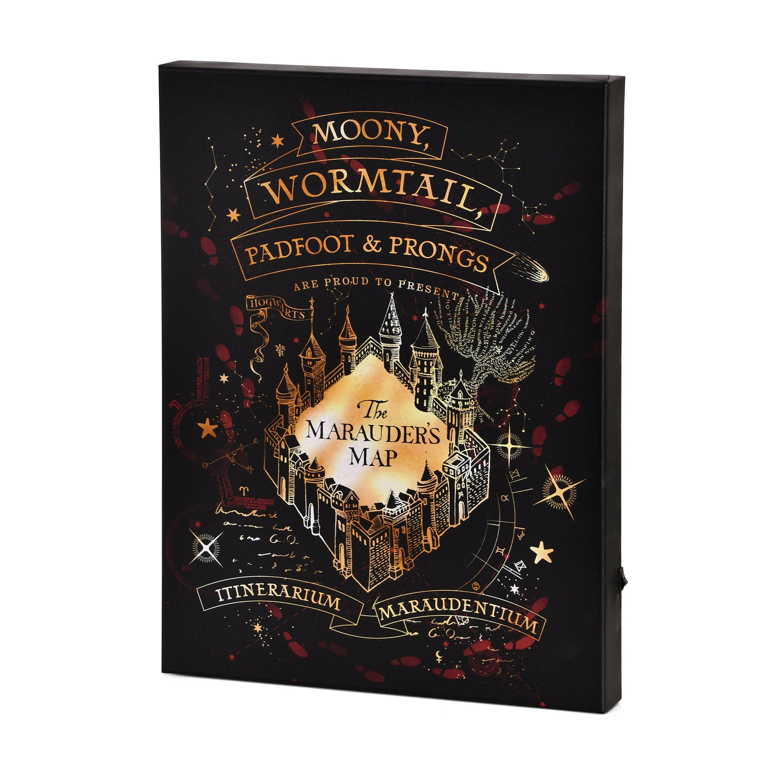 Product image Harry Potter - Marauder's Map Wall Picture with Light