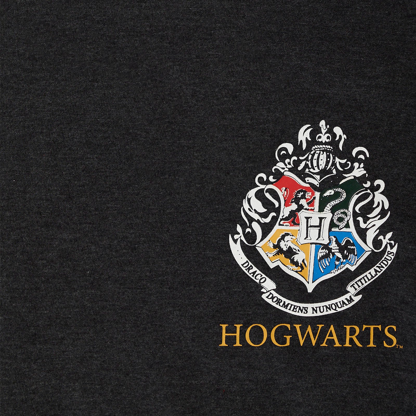 Product image Hufflepuff Seeker Diggory Oversize Women's T-Shirt Grey - Harry Potter
