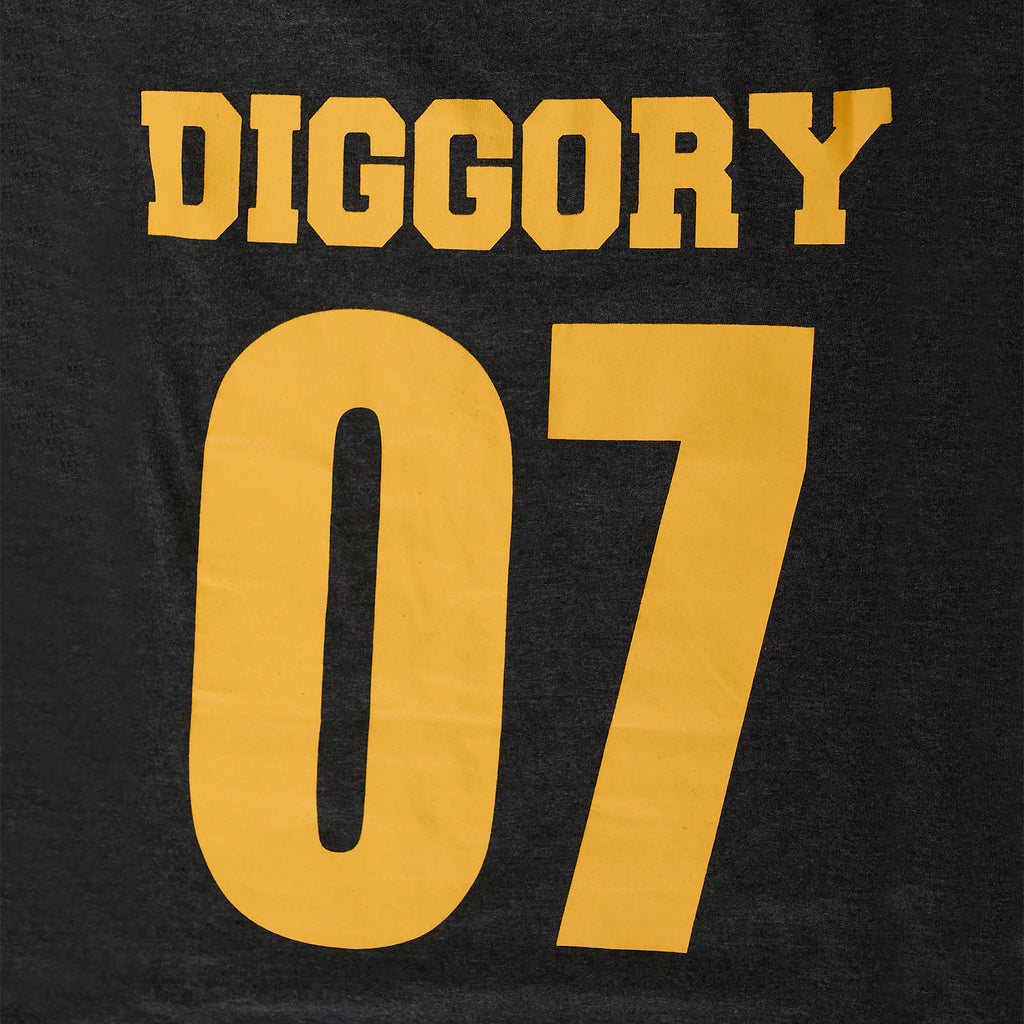 Product image Hufflepuff Seeker Diggory Oversize Women's T-Shirt Grey - Harry Potter