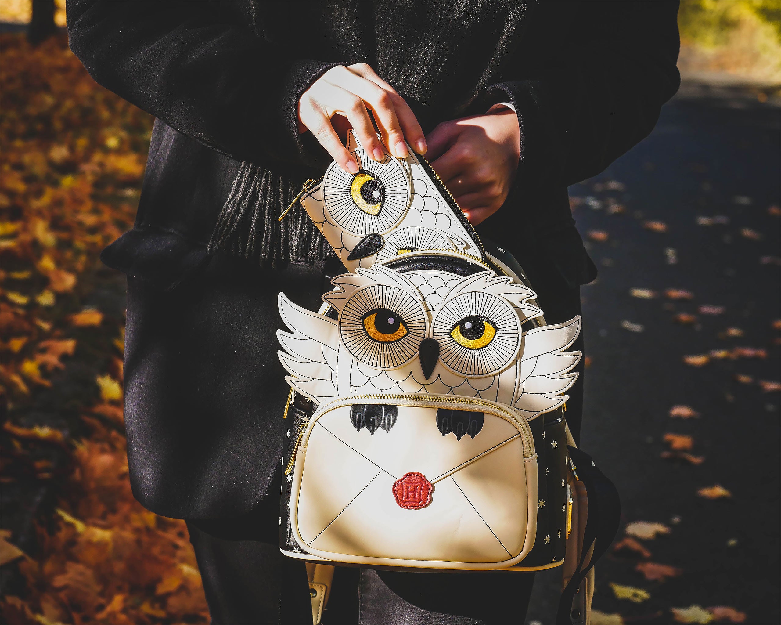 Product image Harry Potter - Hedwig with Hogwarts Letter Wallet