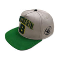 Product image Harry Potter - Slytherin Terry Logo Snapback Cap