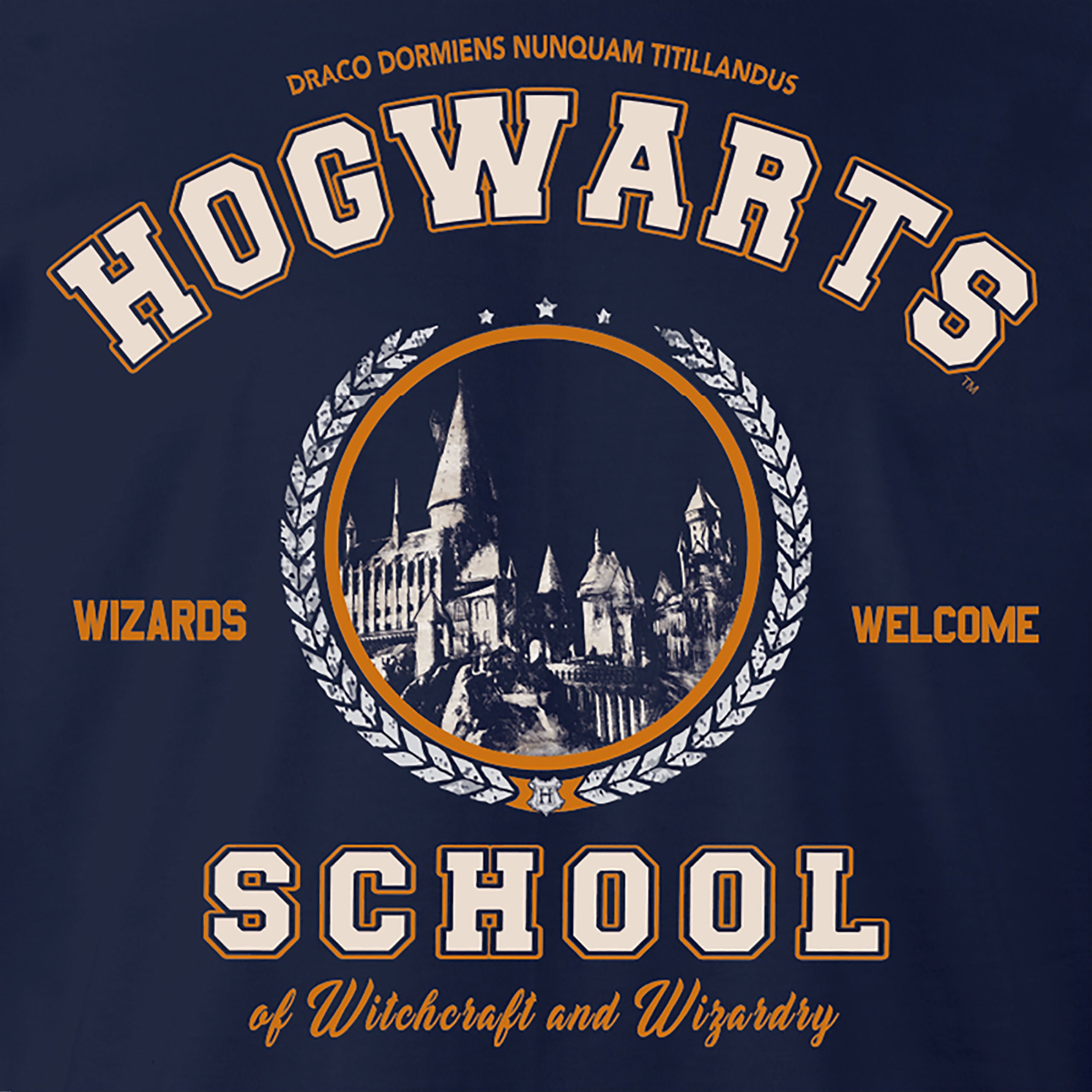 Product image Harry Potter - Hogwarts School T-Shirt blue