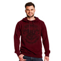 Product image Harry Potter - Hogwarts Logo Hoodie red