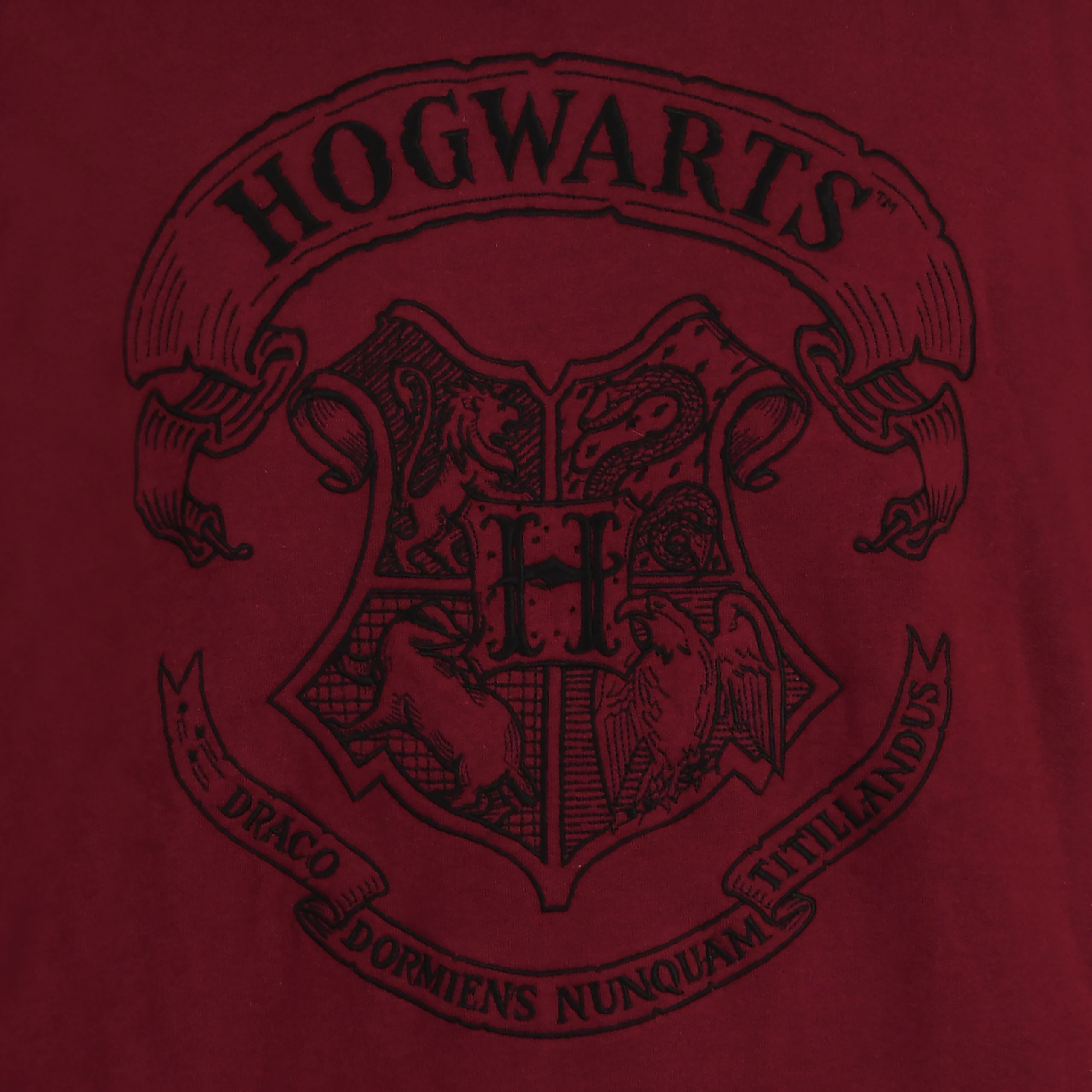 Product image Harry Potter - Hogwarts Logo Hoodie red
