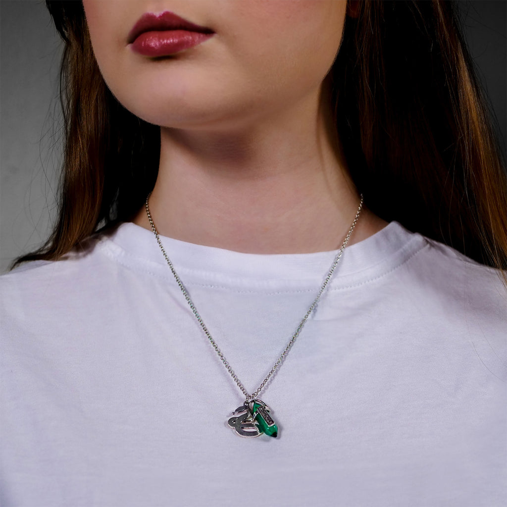 Product image Harry Potter - Slytherin Crest Necklace