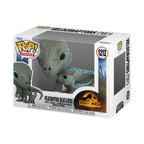 Product image Jurassic World - Velociraptors Blue and Beta Funko Pop Figure