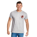 Product image Naruto - Kyūbi T-Shirt Grey