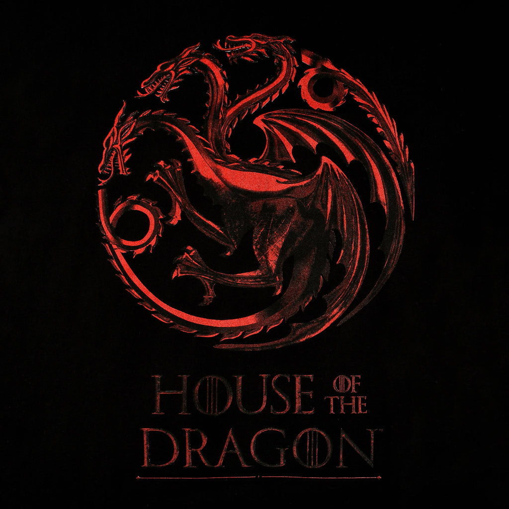 Product image House of the Dragon - Logo T-Shirt black