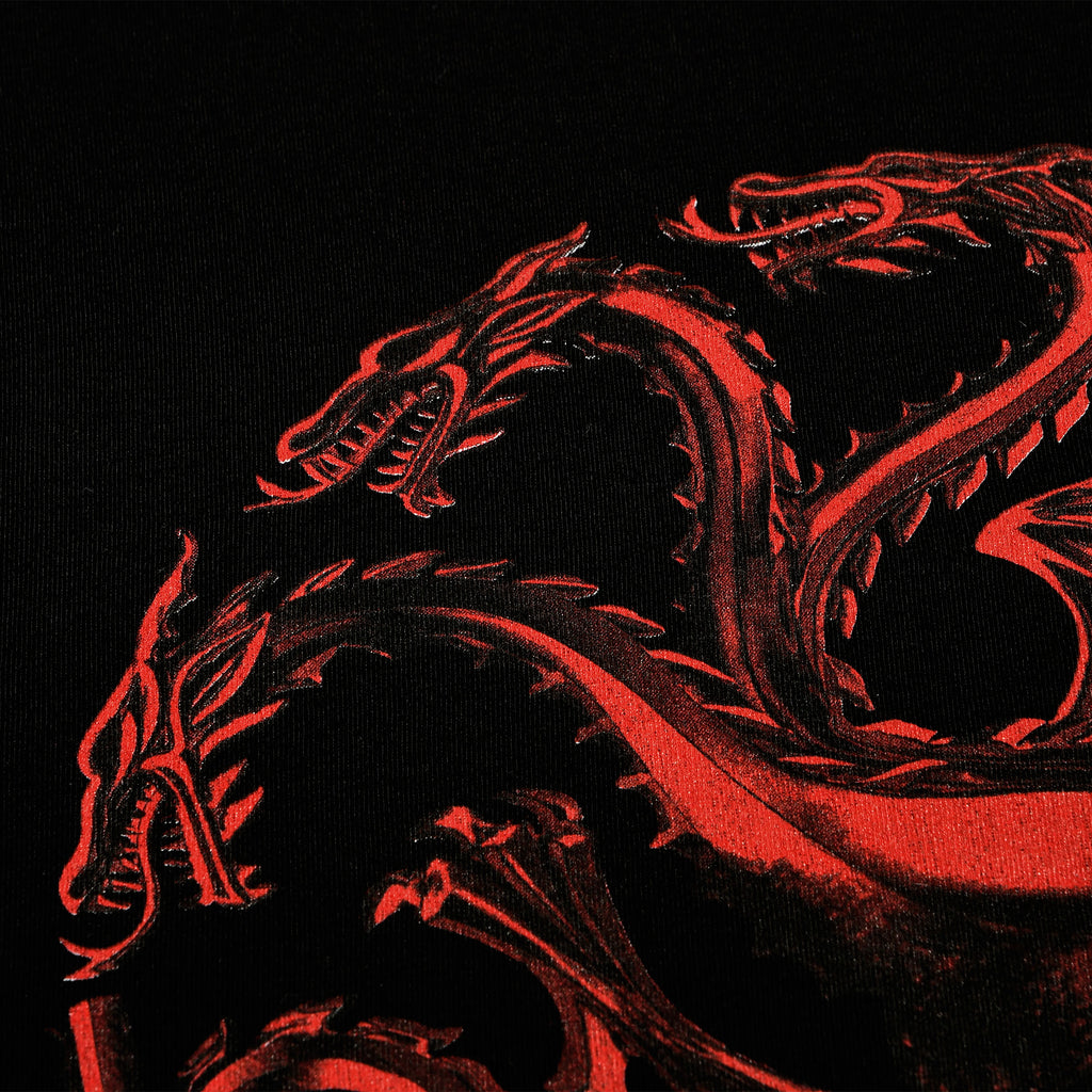 Product image House of the Dragon - Logo T-Shirt black